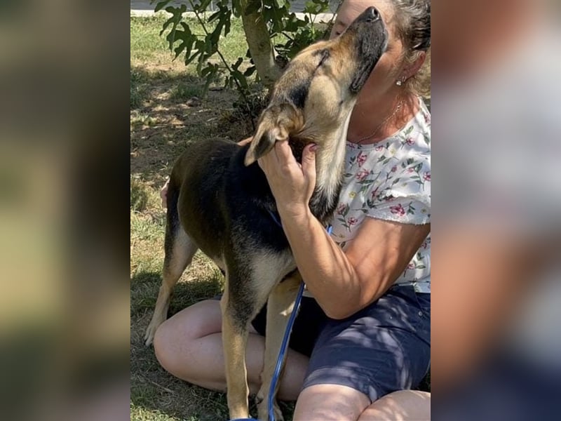 Lora eine Traumhündin