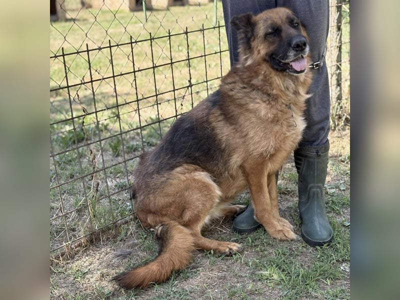 Maya ein einsamer Schatz
