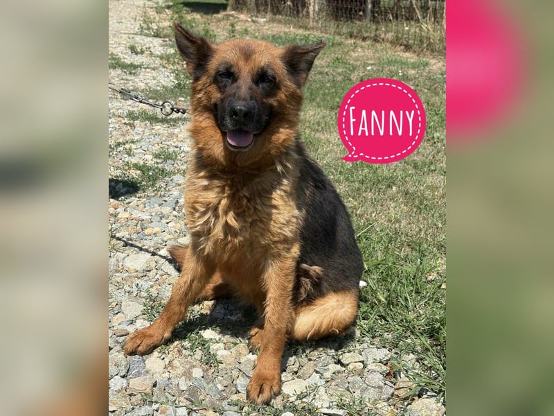 Fanny eine traurige Seele