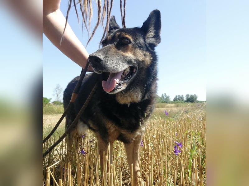 Lola wartet und wartet