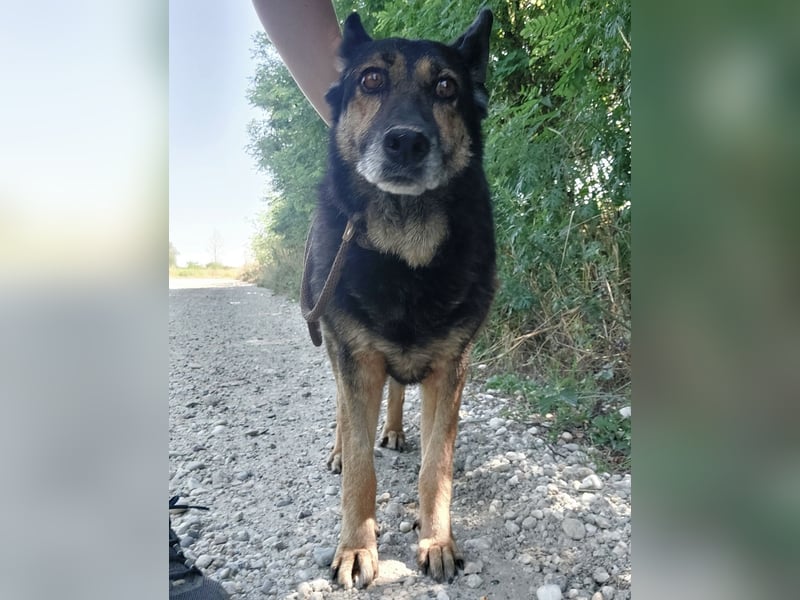 Lola wartet und wartet