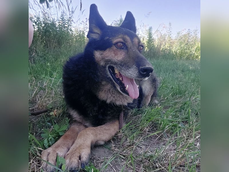 Lola wartet und wartet