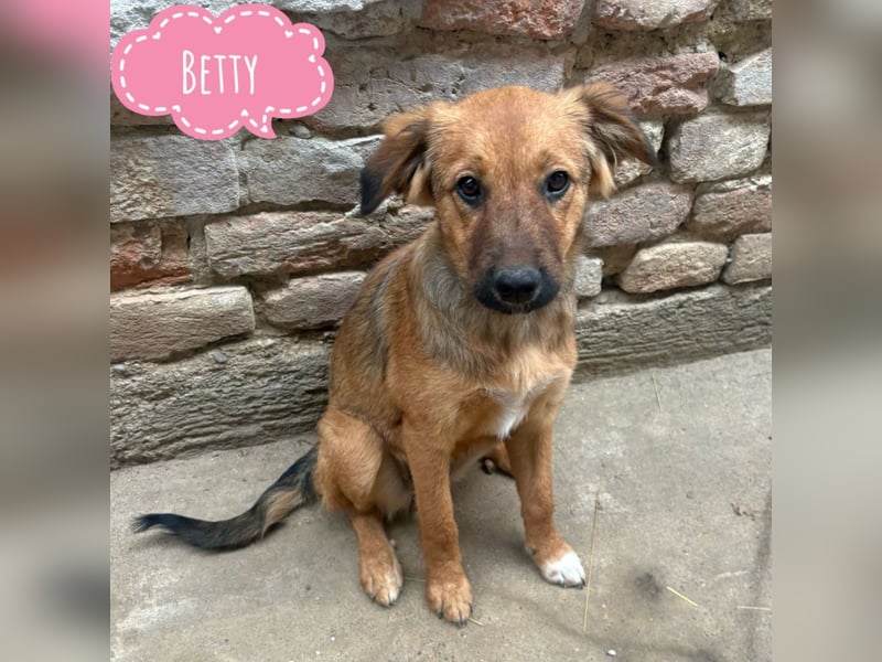 Betty braucht unheimlich viel Liebe