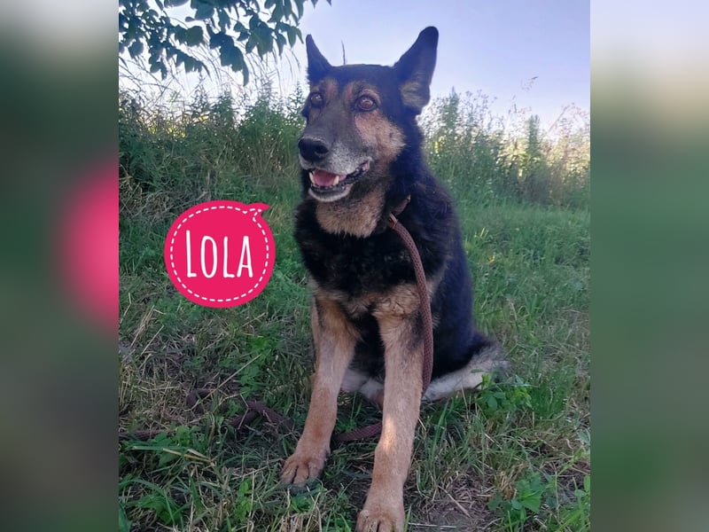 Lola wartet und wartet
