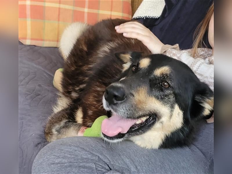 Jessy die Kämpferin, so viel gelitten und trotzdem so liebevoll und dankbar