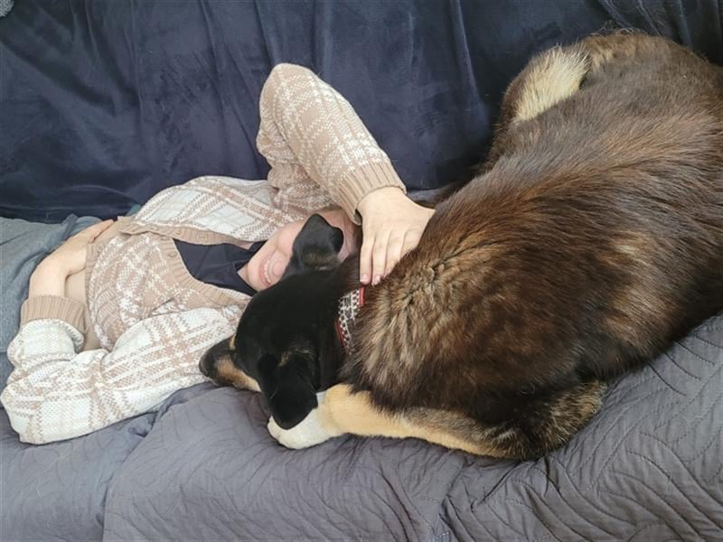 Jessy die Kämpferin, so viel gelitten und trotzdem so liebevoll und dankbar