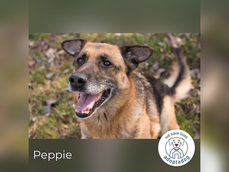 Peppie: lässt gern mal die Ohren hängen!