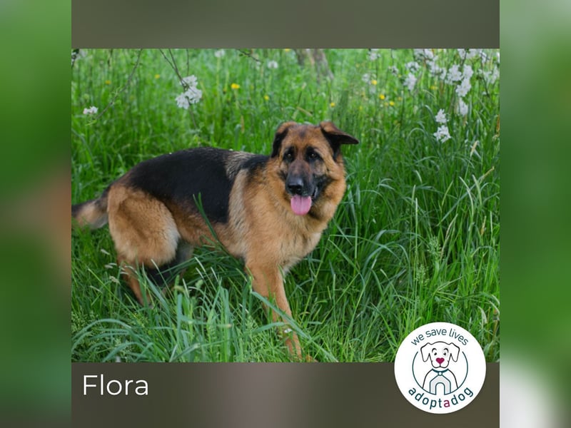 Flora: Sucht ein Zuhause