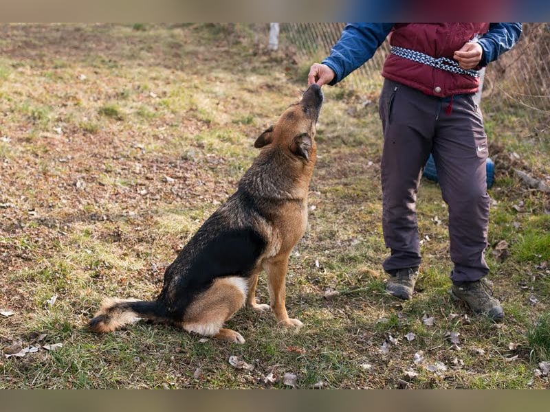 Peppie: lässt gern mal die Ohren hängen!