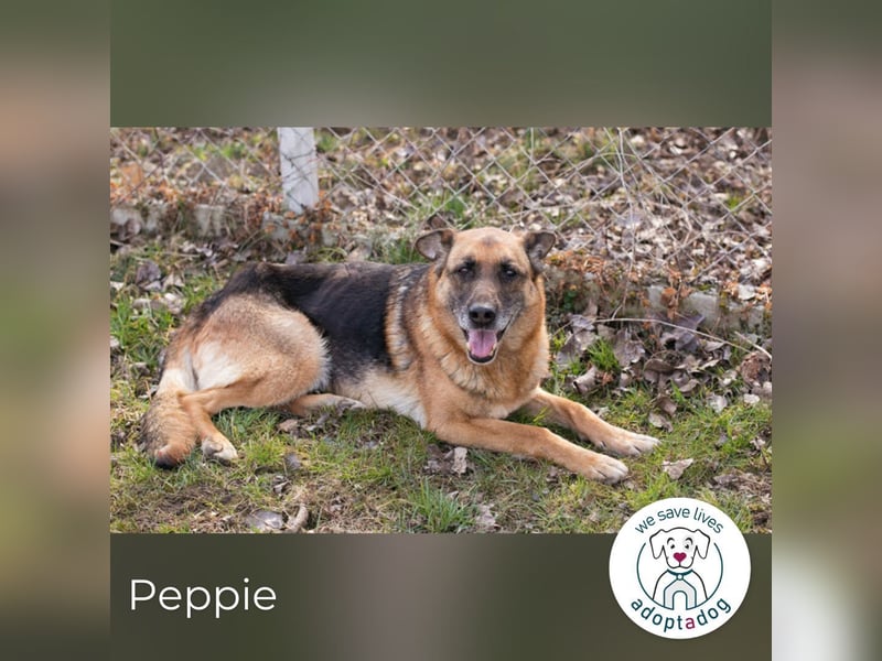 Peppie: lässt gern mal die Ohren hängen!
