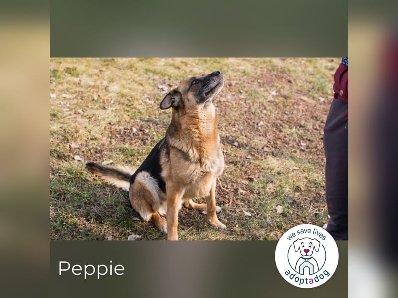 Peppie: lässt gern mal die Ohren hängen!