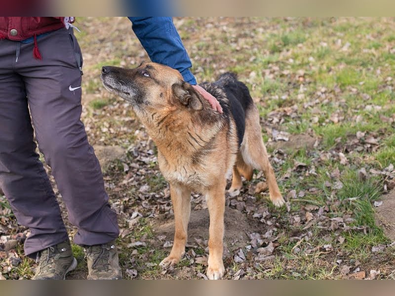 Peppie: lässt gern mal die Ohren hängen!