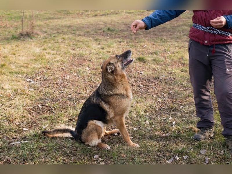 Peppie: lässt gern mal die Ohren hängen!