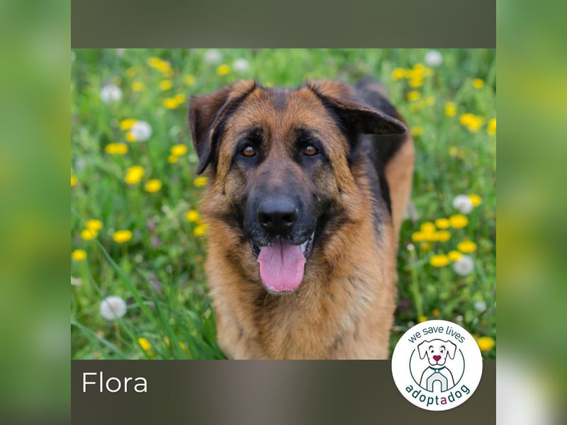 Flora: Sucht ein Zuhause