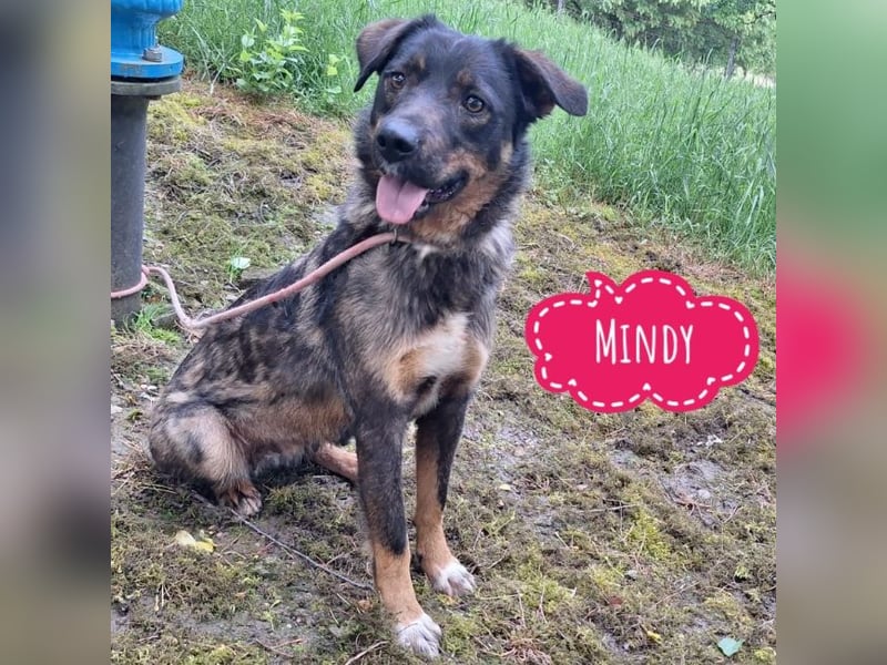 Mindy braucht ihre Menschen
