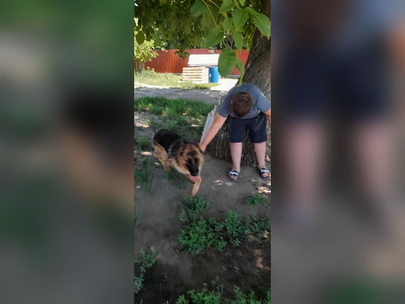 Roxi, 1 Jahr, 60cm sucht  ihr Zuhause