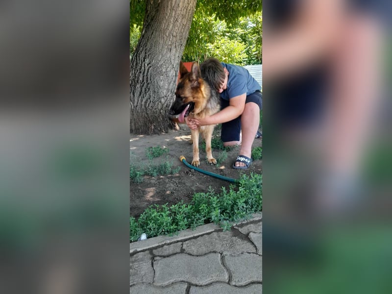 Roxi, 1 Jahr, 60cm sucht  ihr Zuhause