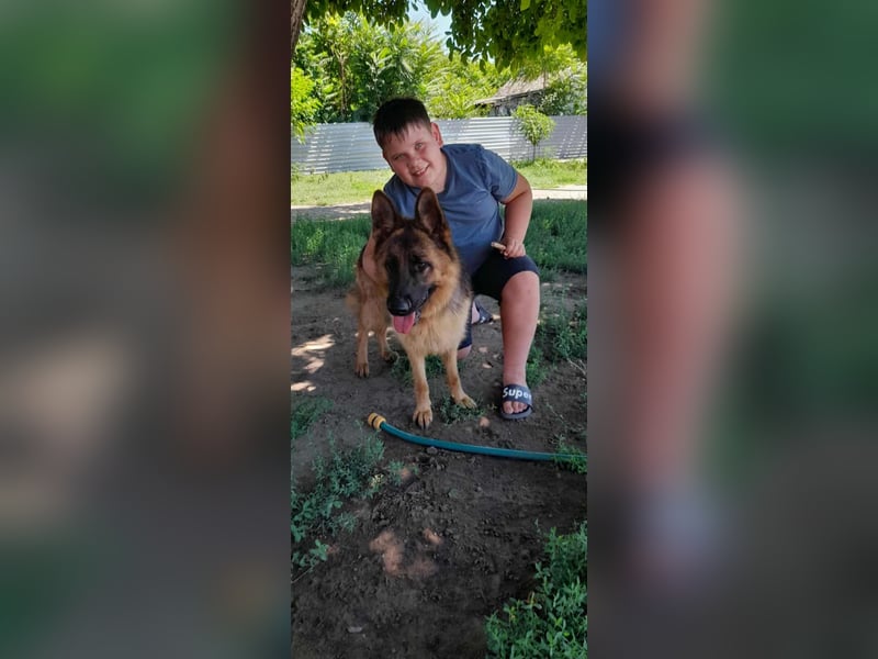 Roxi, 1 Jahr, 60cm sucht  ihr Zuhause