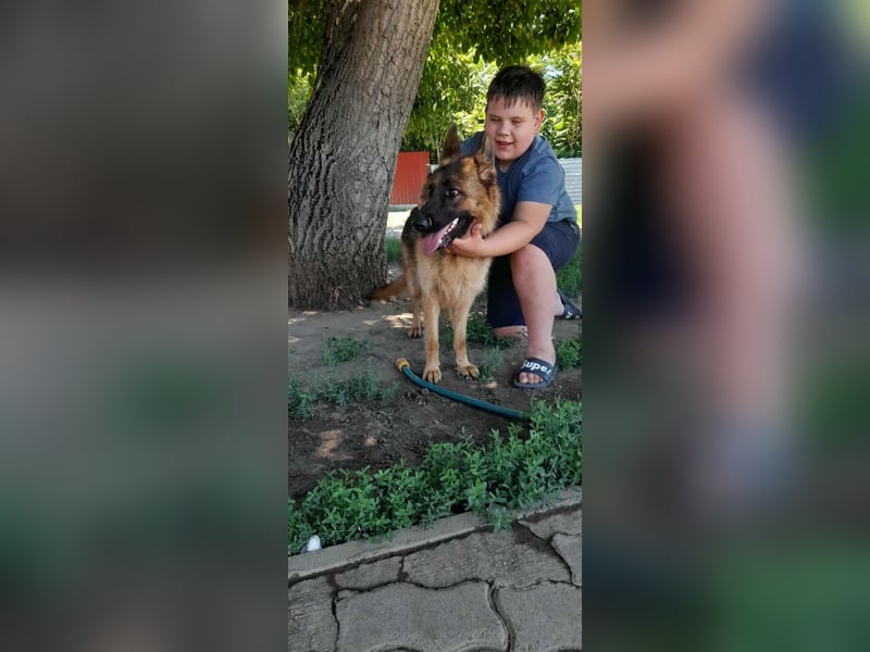 Roxi, 1 Jahr, 60cm sucht  ihr Zuhause