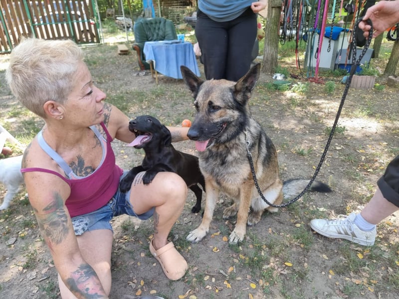 Ava, geboren 2018, 62cm sucht ihre Menschen