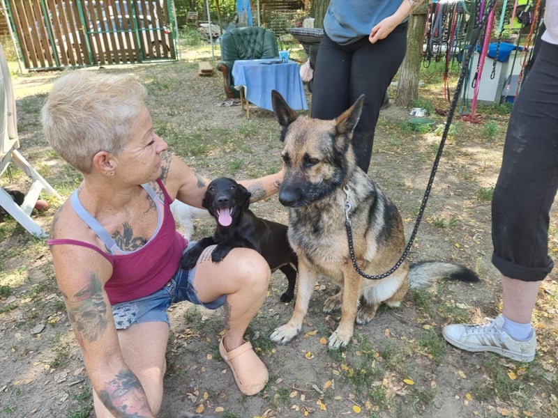 Ava, geboren 2018, 62cm sucht ihre Menschen