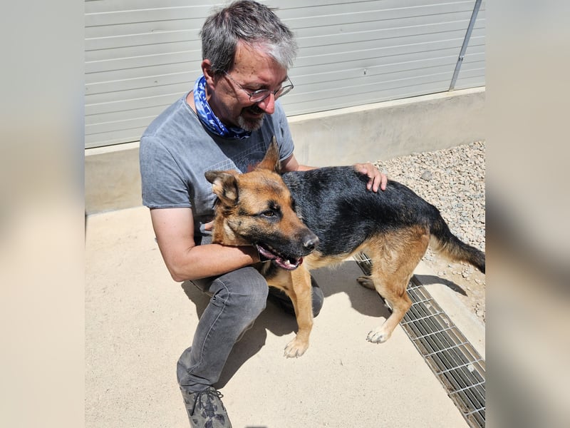 Gina: wo sind die Schäferhund-Fans?