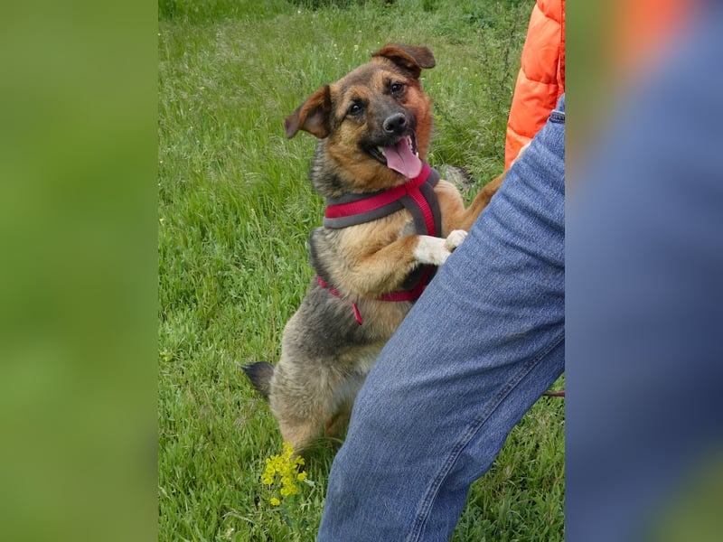 Liebe Ruby sucht eine neue Bleibe