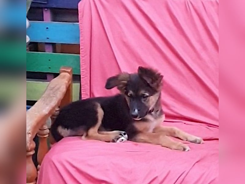 IDA – kleiner Sonnenschein