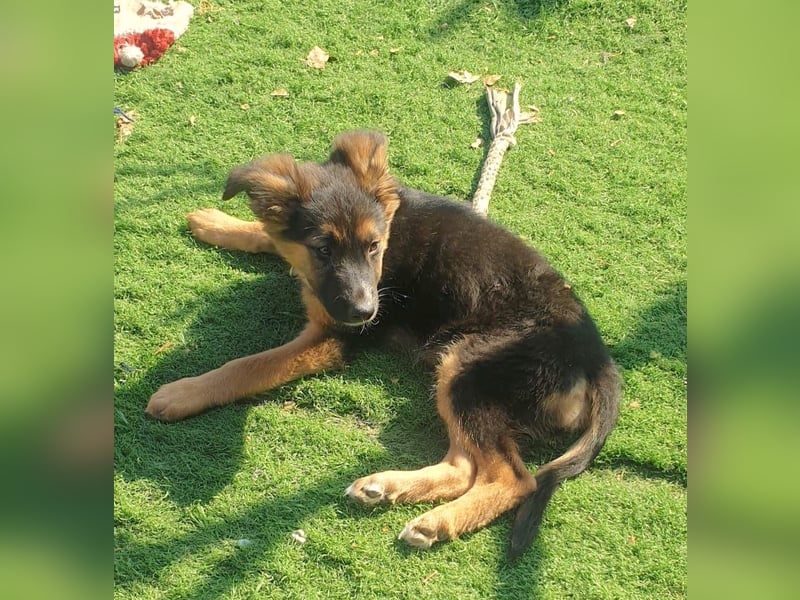 IDA – kleiner Sonnenschein