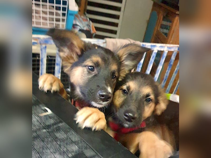 IDA – kleiner Sonnenschein