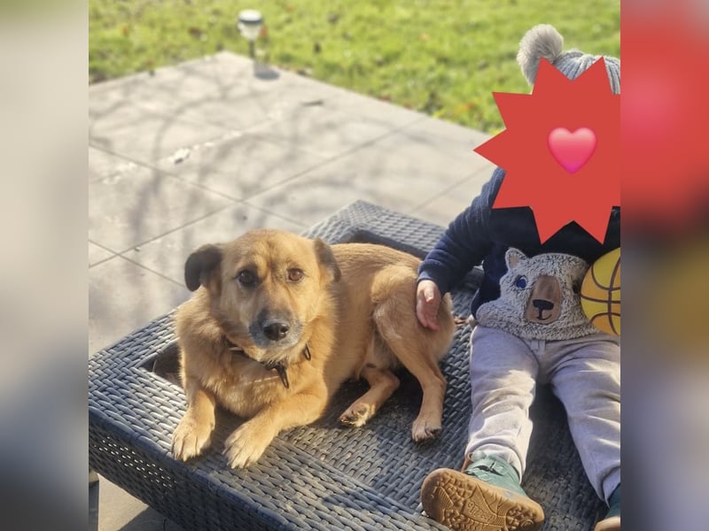 Frenki ein kleiner Schatz