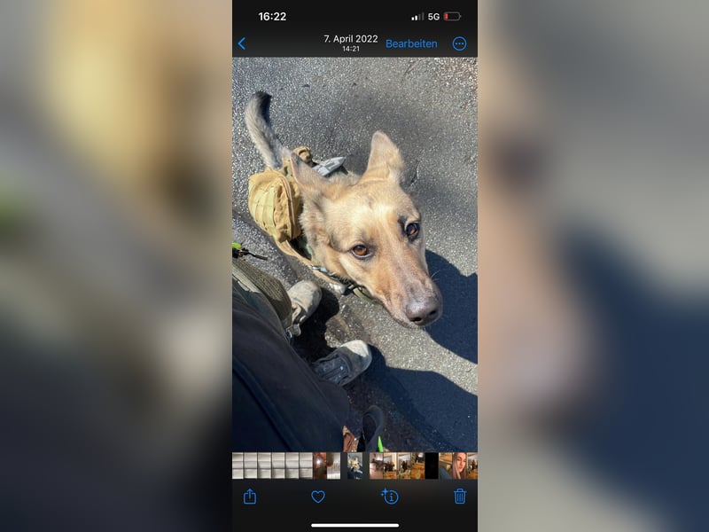 Ria sucht dringend ein neues zuhause