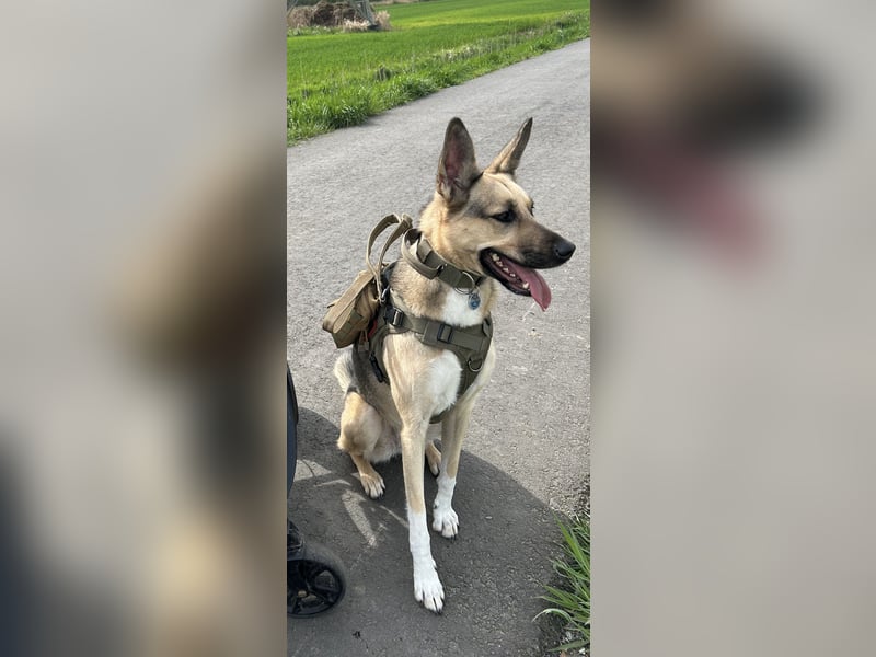 Ria sucht dringend ein neues zuhause