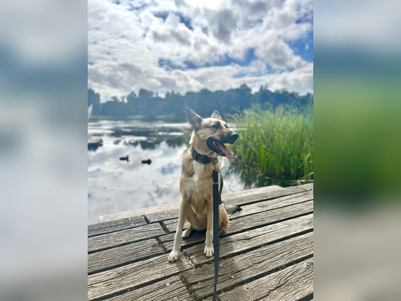 Ria sucht dringend ein neues zuhause