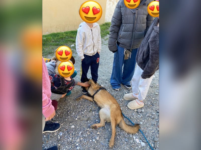 Rumba wünscht sich ihre eigene Familie