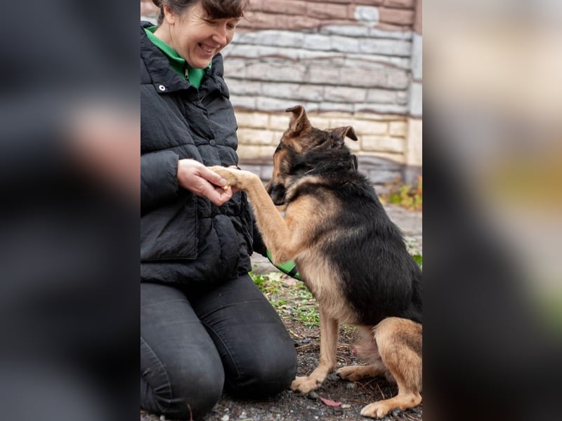 Edwin - Neugierige & menschenbezogene Knutschkugel (Ukraine)