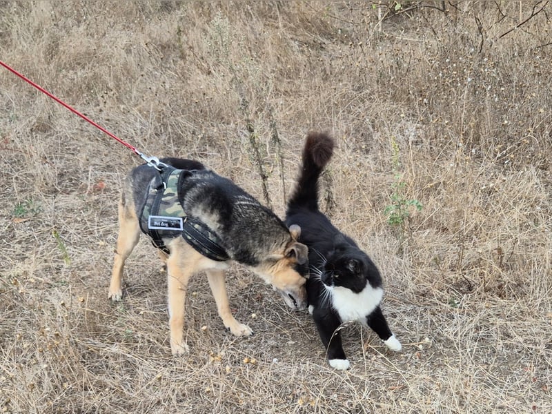 Lieber Terry sucht seine Menschen