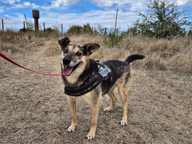 Lieber Terry sucht seine Menschen