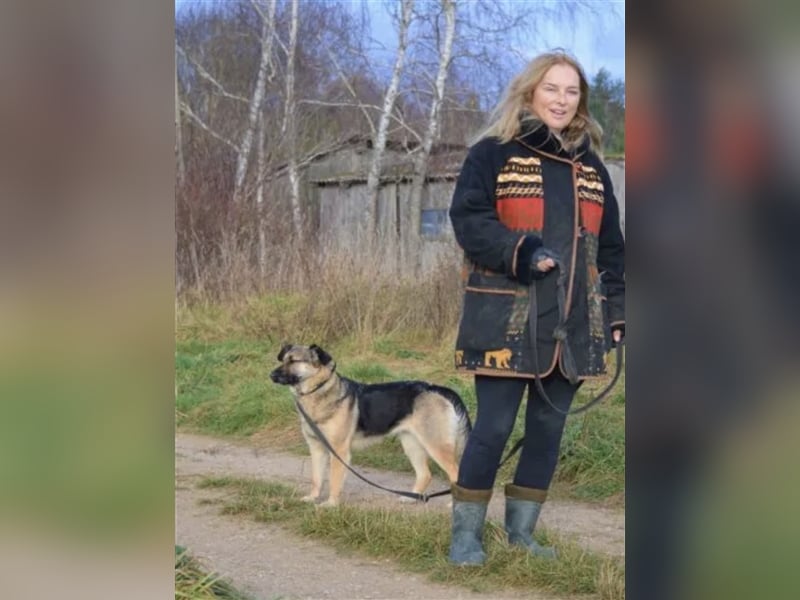 LIEBE UND RUHIGE SCHÄFERHÜNDIN “MELA”