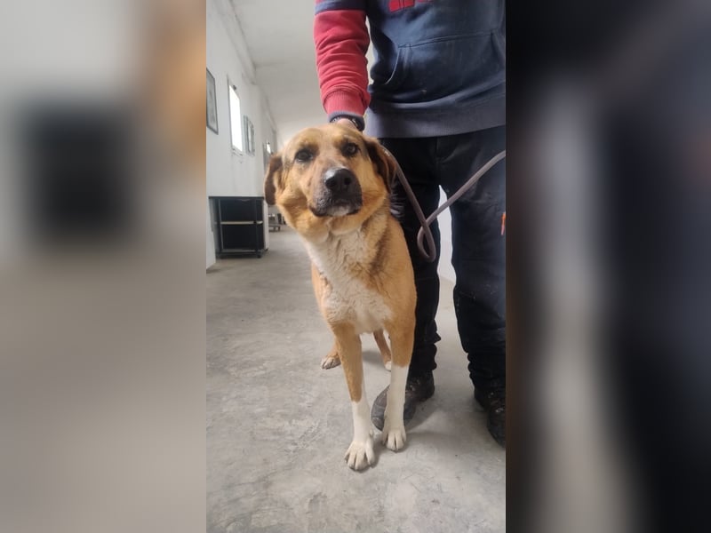 Veronica wartet immer noch geduldig