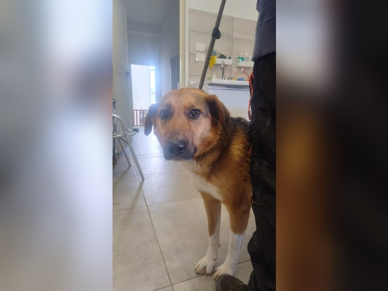 Veronica wartet immer noch geduldig