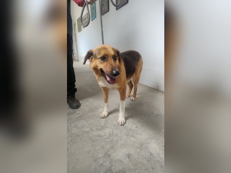 Veronica wartet immer noch geduldig