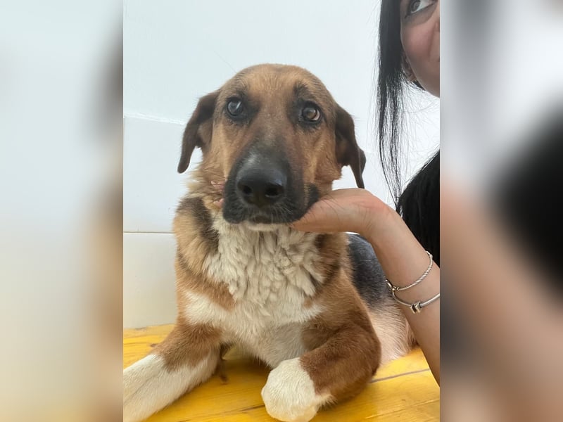 Veronica wartet immer noch geduldig