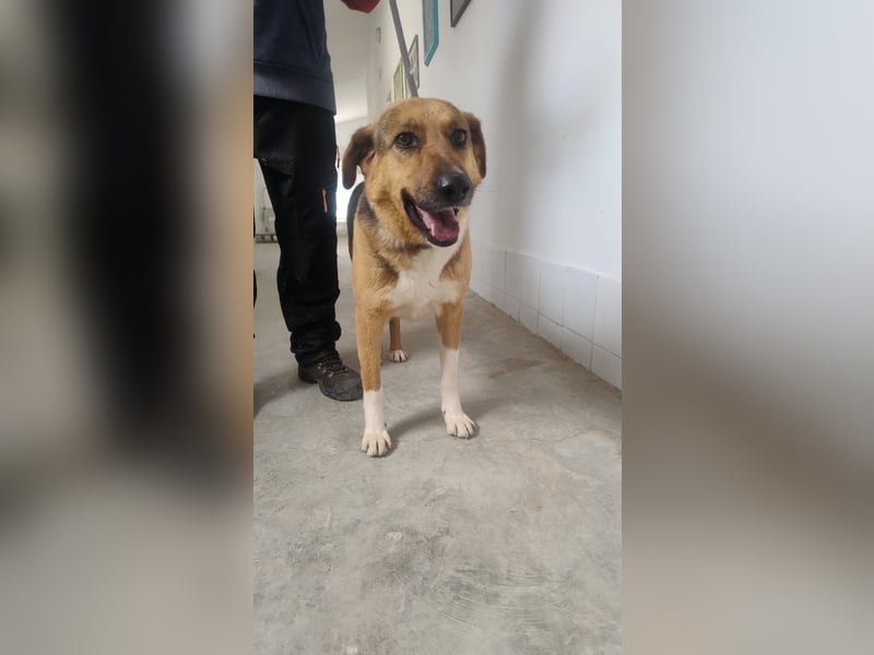 Veronica wartet immer noch geduldig