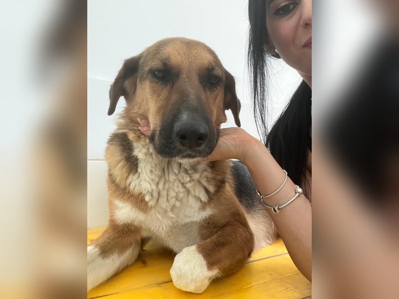 Veronica wartet immer noch geduldig