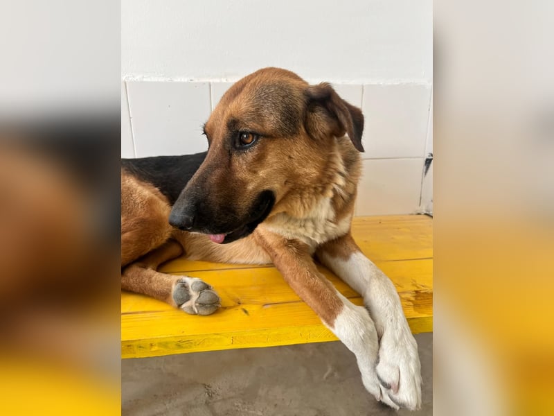 Veronica wartet immer noch geduldig