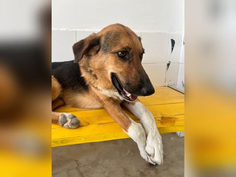 Veronica wartet immer noch geduldig