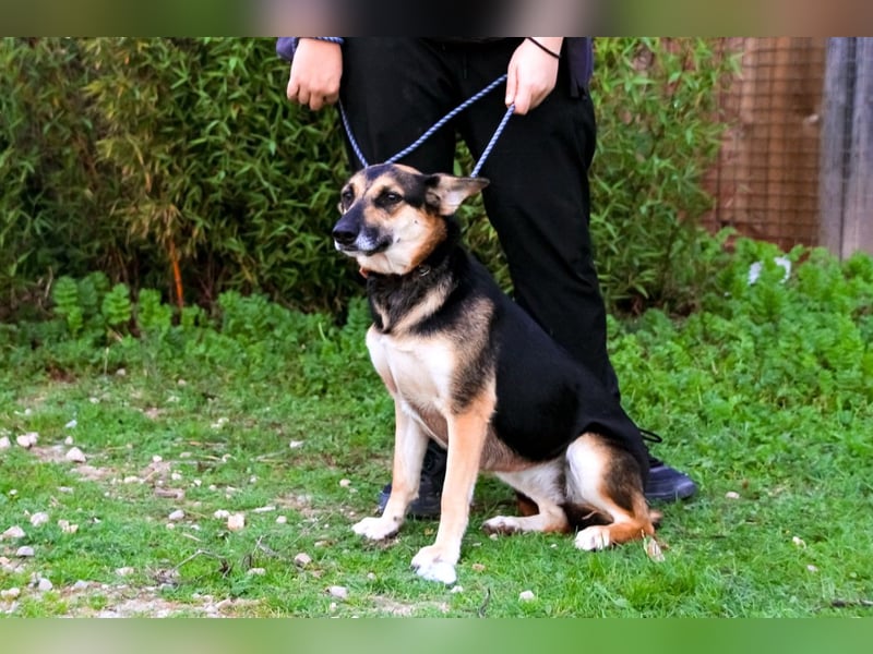 Pflegestelle oder Endstelle für • Arielle gesucht !