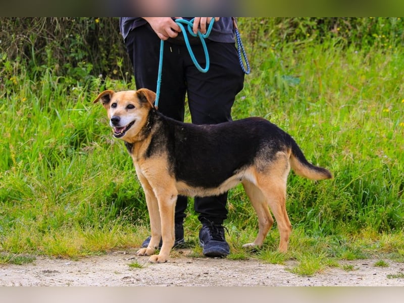 Seniorin Hazel ❣️ hat lange genug gewartet!