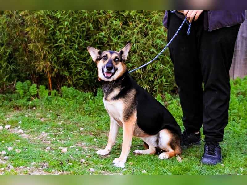 Pflegestelle oder Endstelle für • Arielle gesucht !